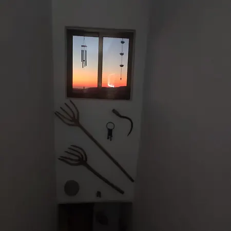 Zen *